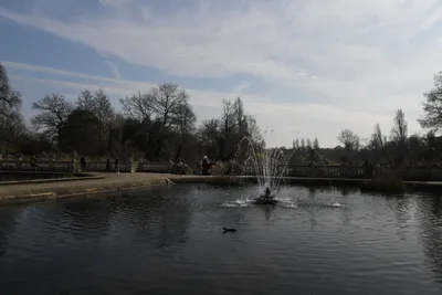 DSC_6872 (Large).JPG